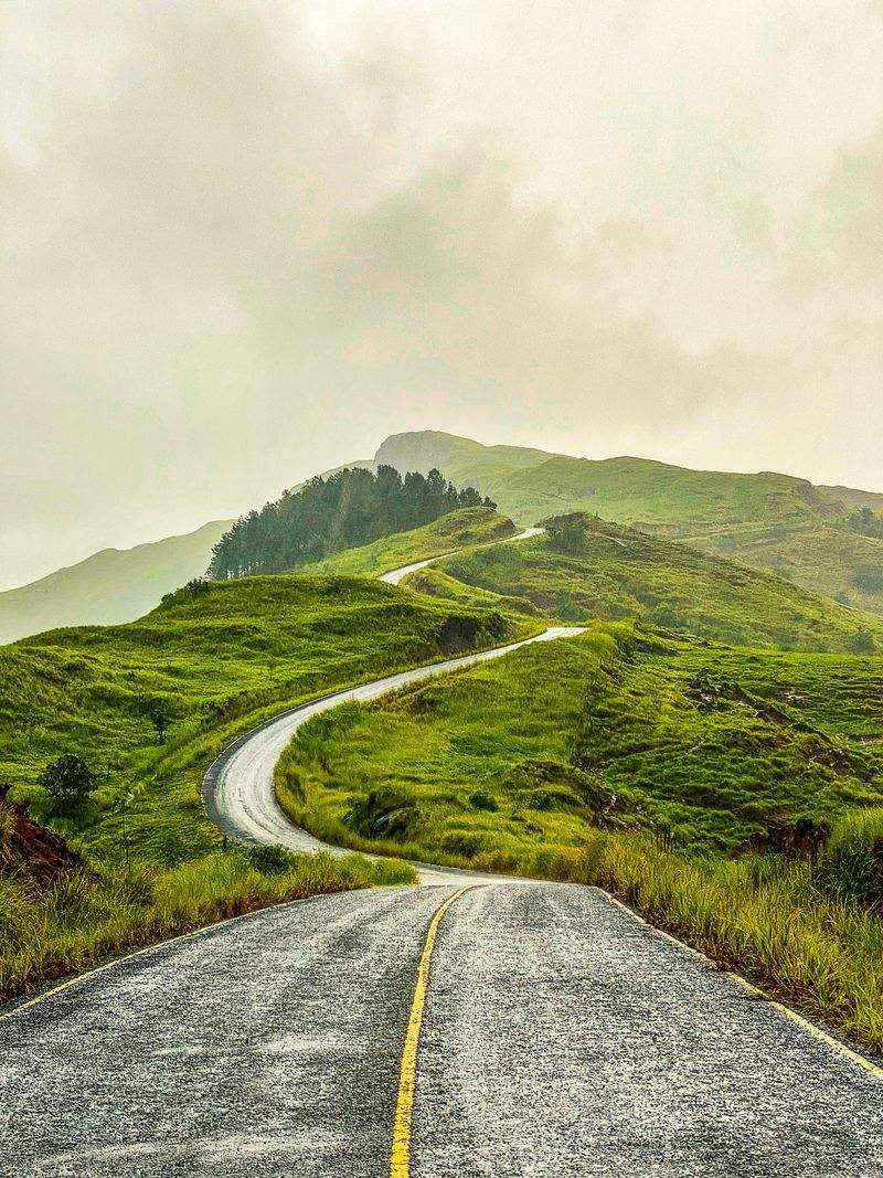 Aussie Artistry Creations - Image 15